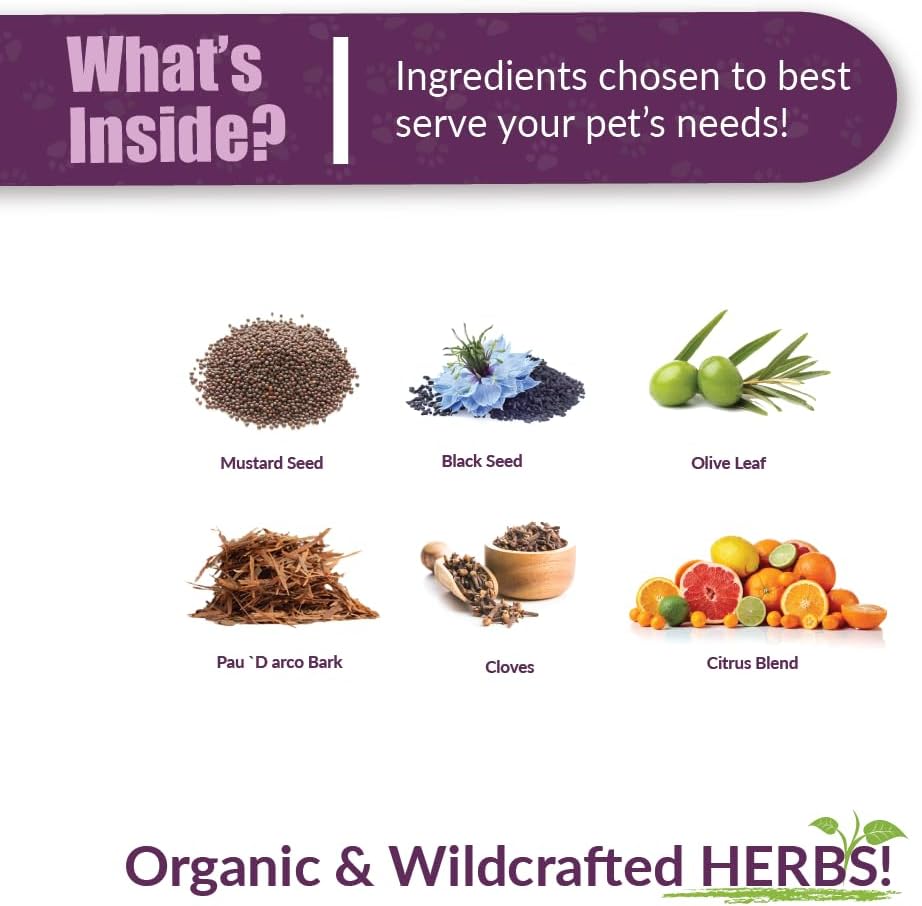 amber-naturalz-vibactra-immune-support-h-3.jpg