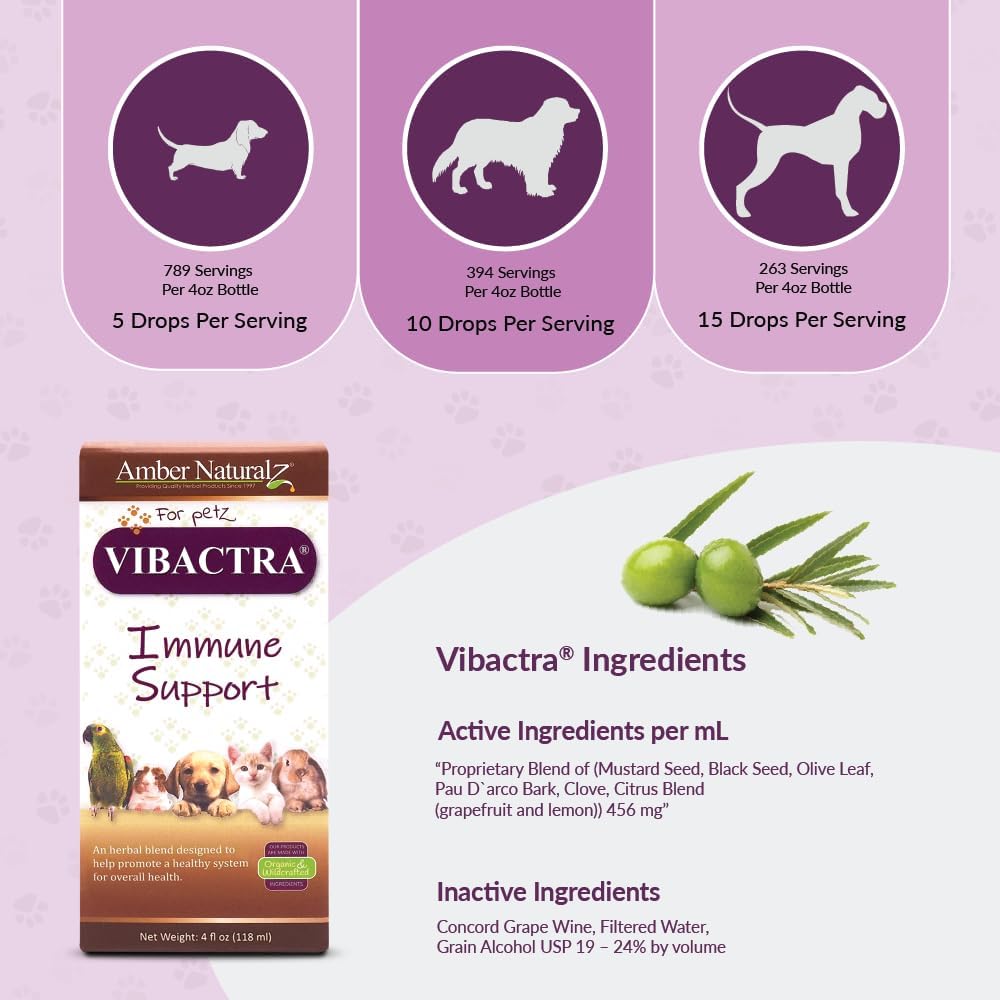 amber-naturalz-vibactra-immune-support-h-4.jpg
