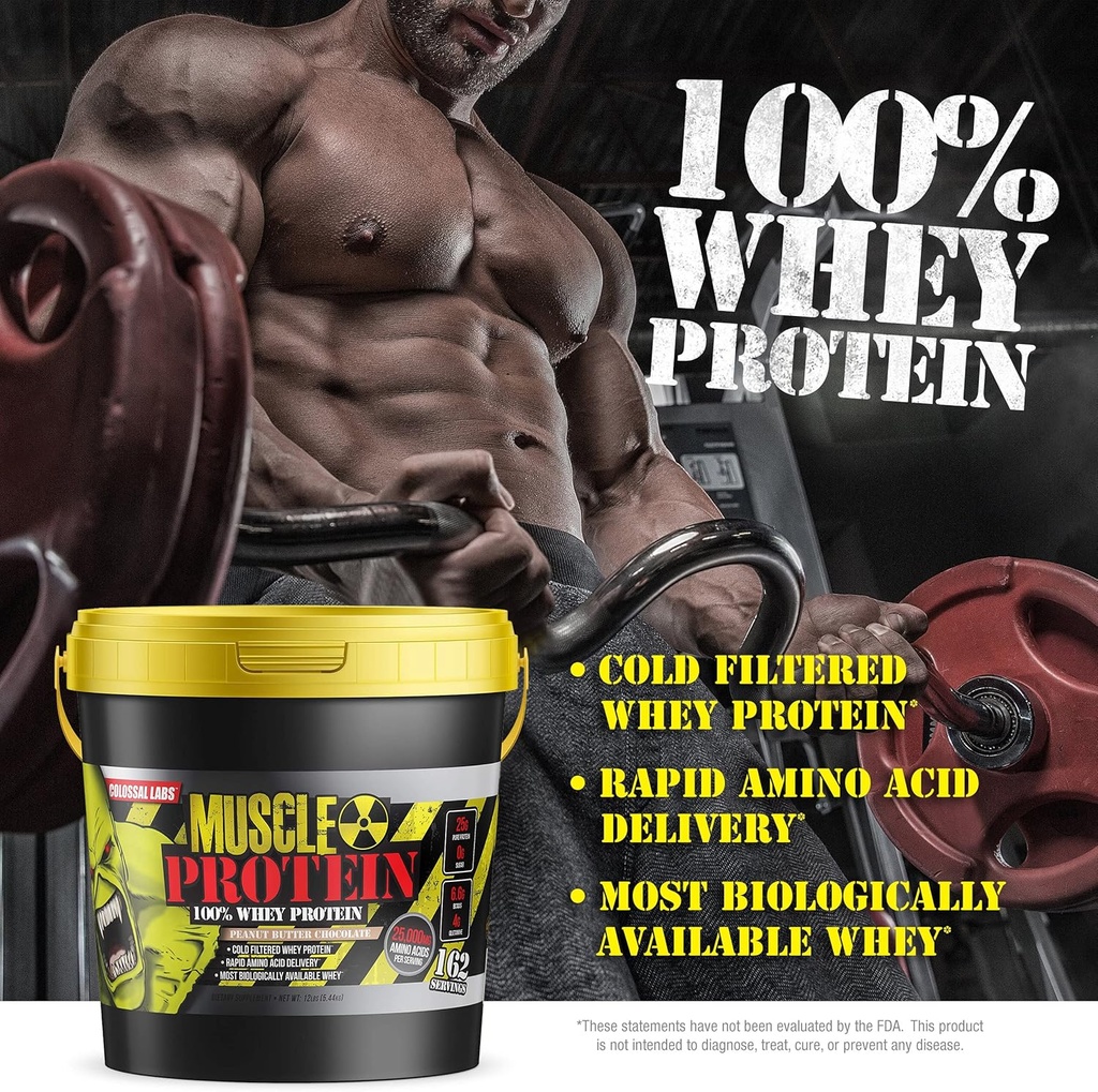 muscle-protein-whey-powder-12-lbspack-of-4.jpg