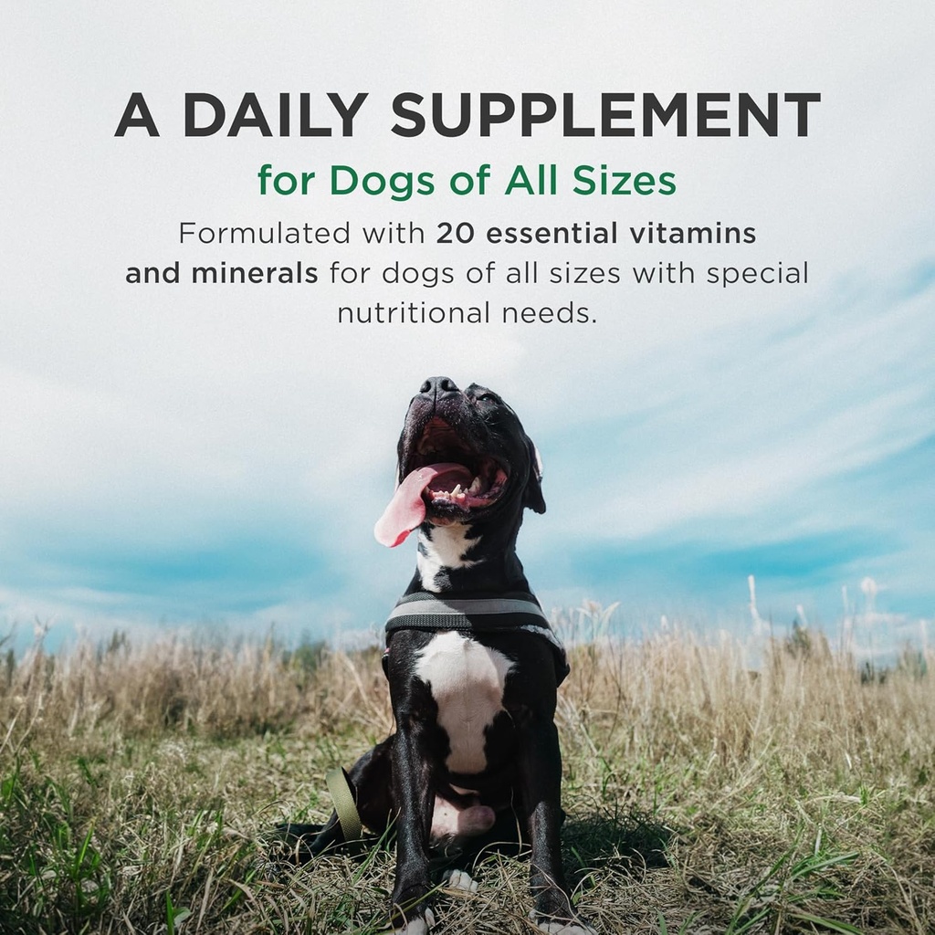 pet-tabs-plus-multivitamin-and-mineral-s-3.jpg