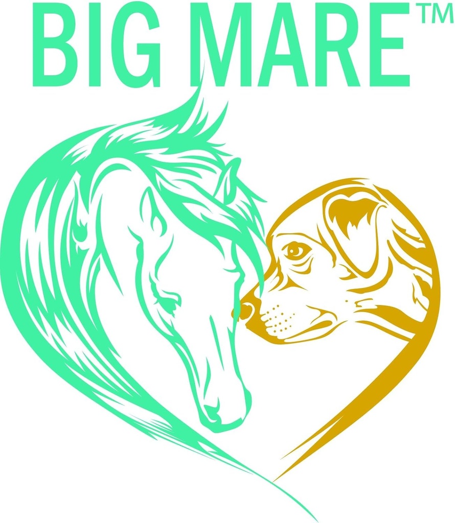 big-mare-horse-medicated-body-wash-clini-6.jpg