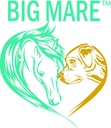 big-mare-horse-medicated-body-wash-clini-6.jpg