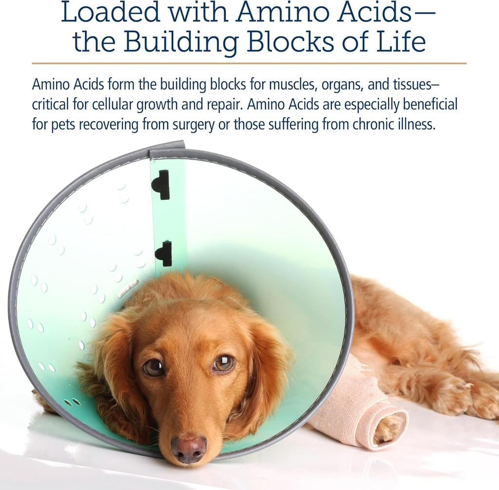 rx-vitamins-amino-b-plex-cat-dog-supplem-5.jpg