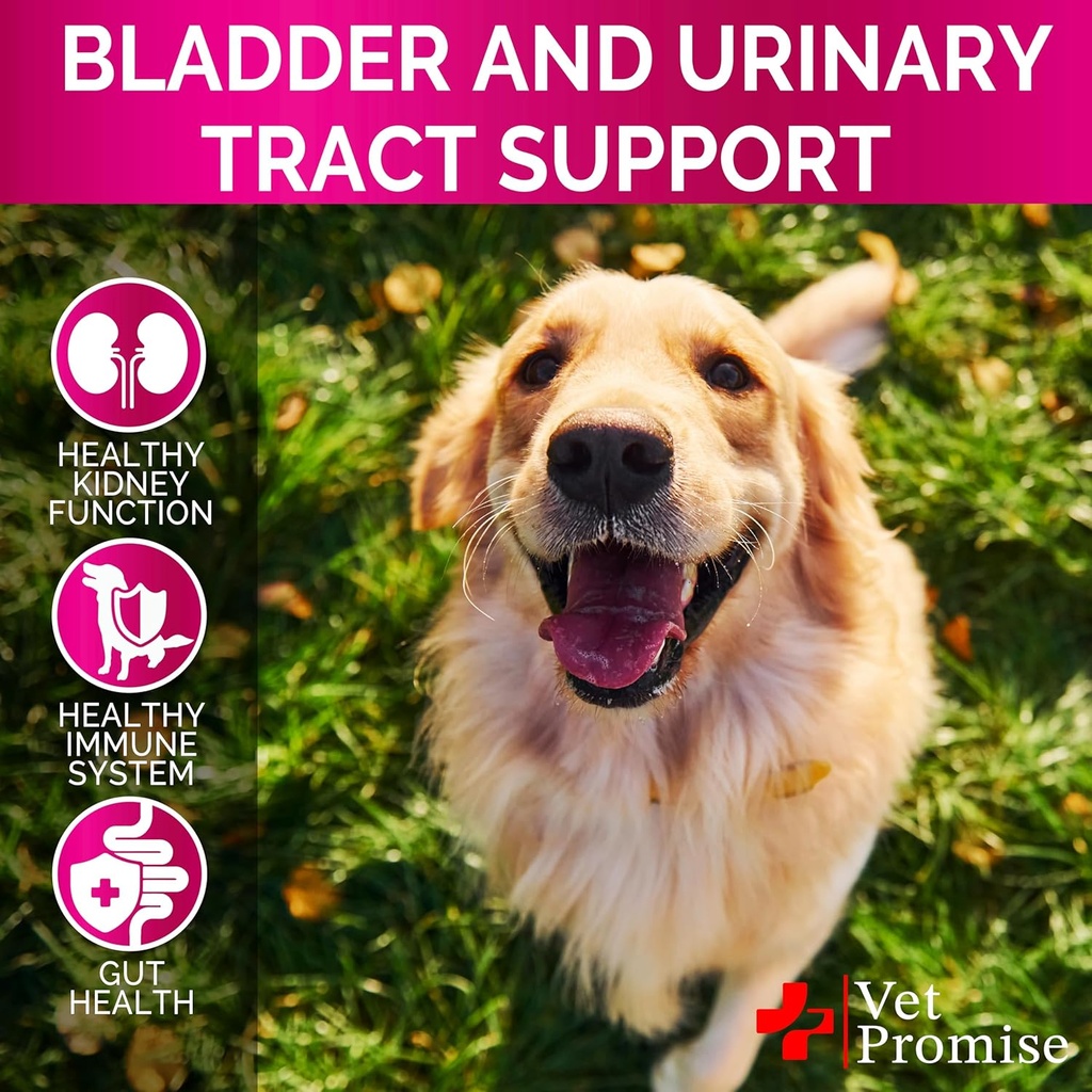 dog-uti-treatment---cranberry-supplement-4.jpg