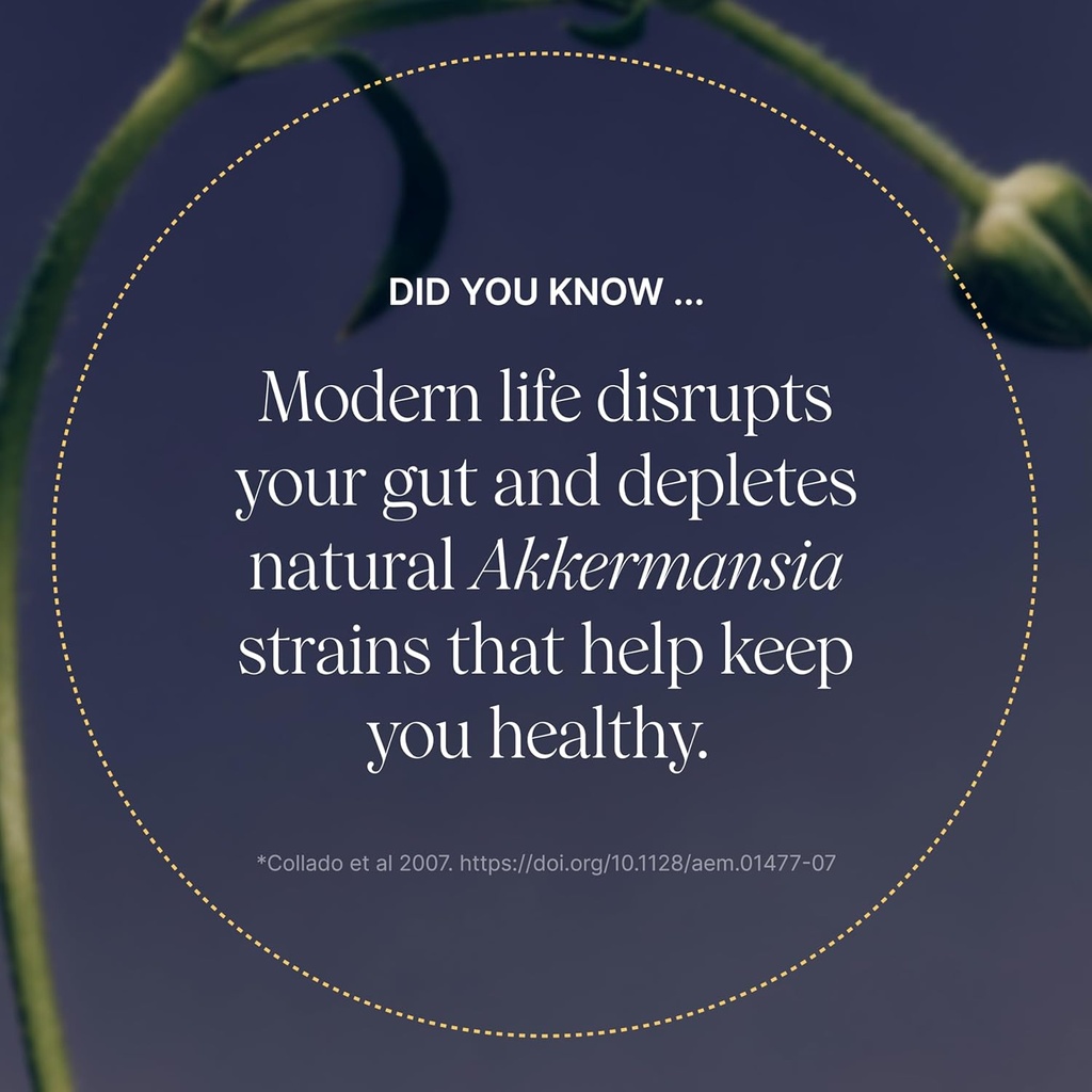 pendulum-akkermansia-probiotic-with-preb-2.jpg