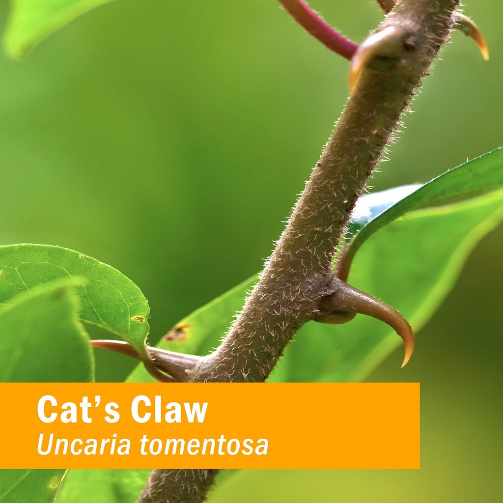 herb-pharm-cats-claw-una-de-gato-liquid--2.jpg