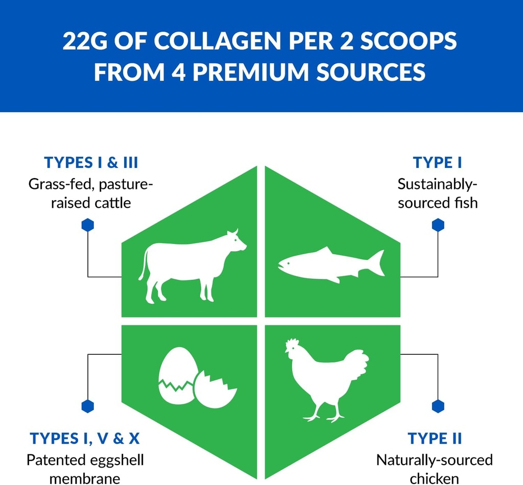 biotrust-ageless-multi-collagen-protein--3.jpg