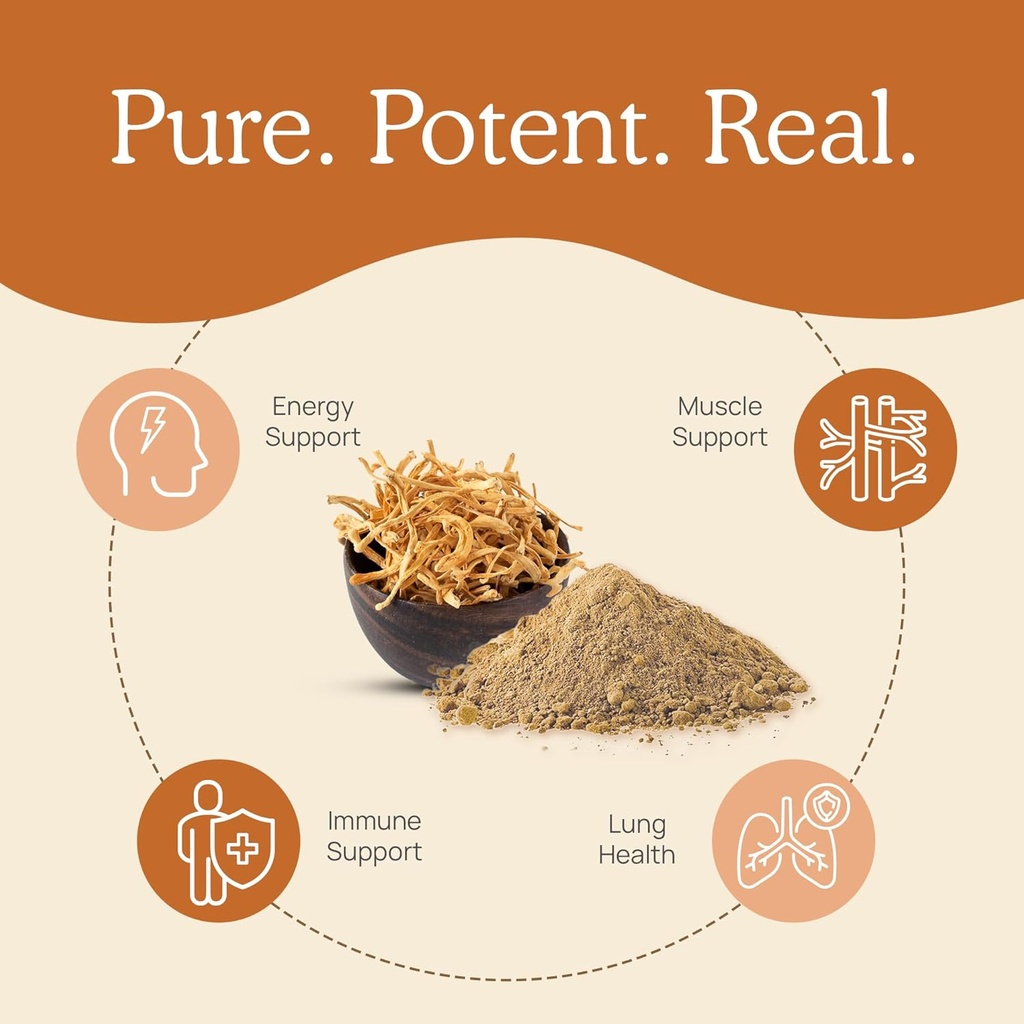 real-mushrooms-vitamin-d2-zinc-chaga-rei-4.jpg