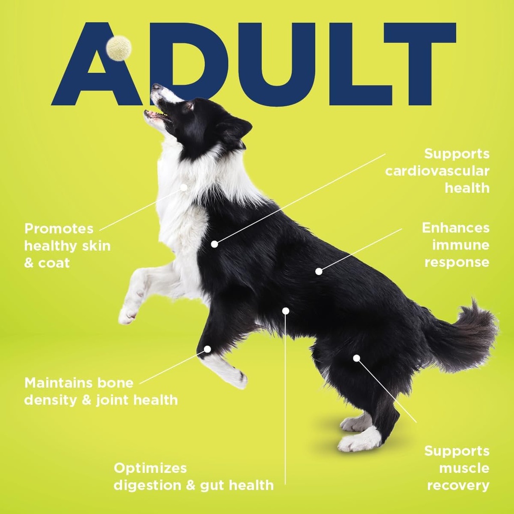 vetericyn-all-in-1-multifunctional-dog-s-2.jpg