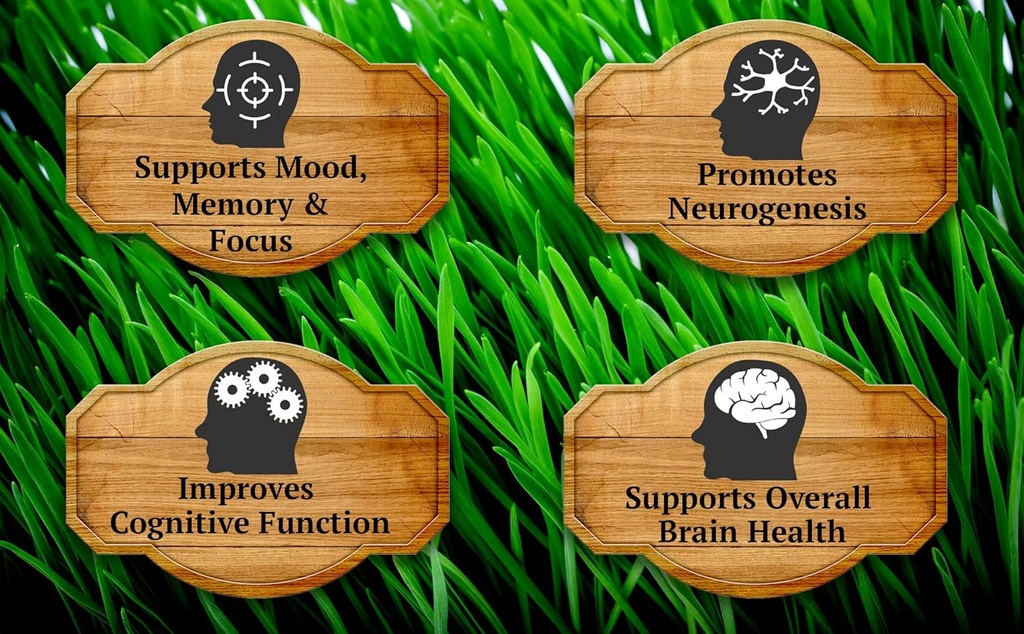primal-being-grassfed-beef-brain-support-4.jpg
