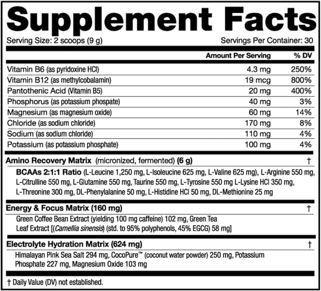 nutrabio-amino-kick-bcaa-powder-with-nat-2.jpg