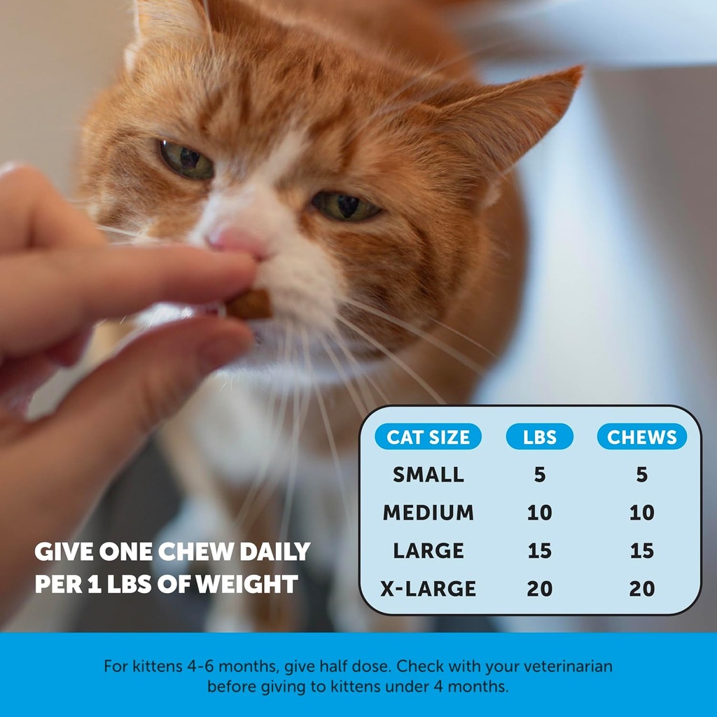 cat-skin-coat-health-crunchy-creamy-chew-5.jpg