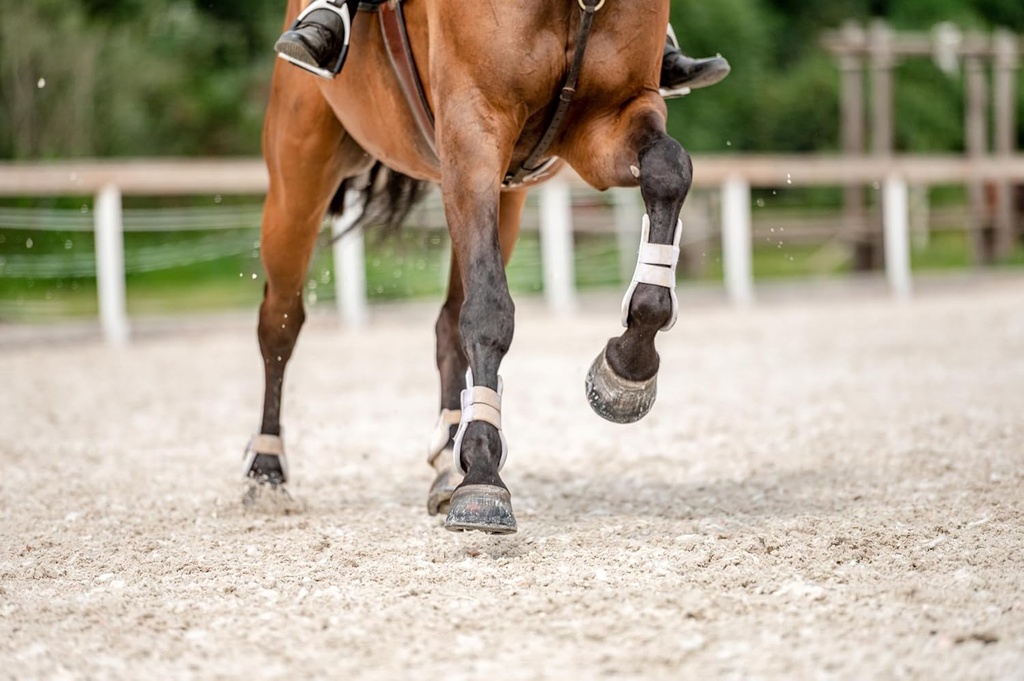 biotin-ii-22x-35lb-hoof-supplement-for-h-3.jpg