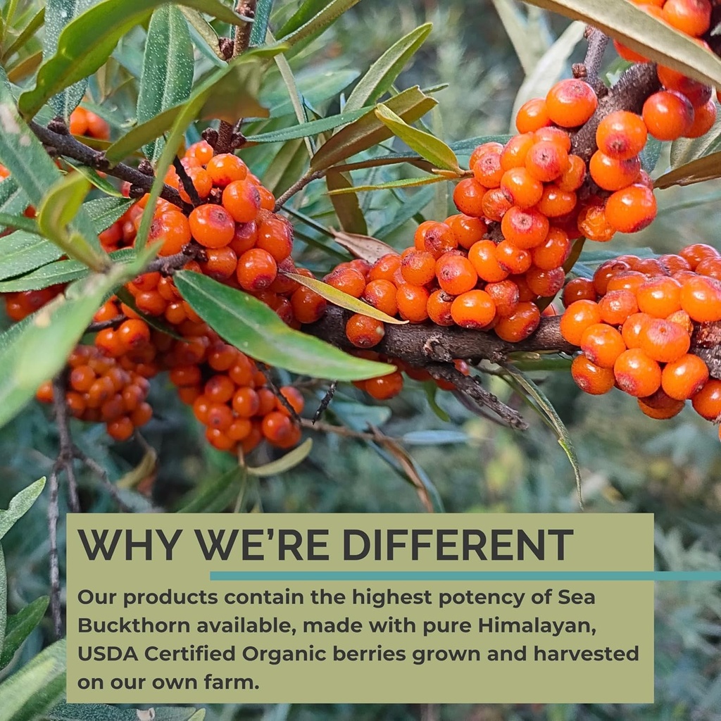 organic-sea-buckthorn-oil-omega-7-comple-5.jpg