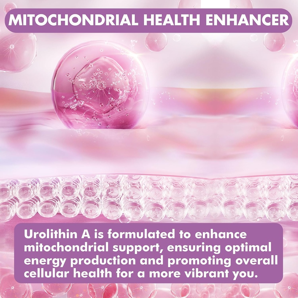 wellwhole-urolithin-a-gummies-1000mg-wit-3.jpg