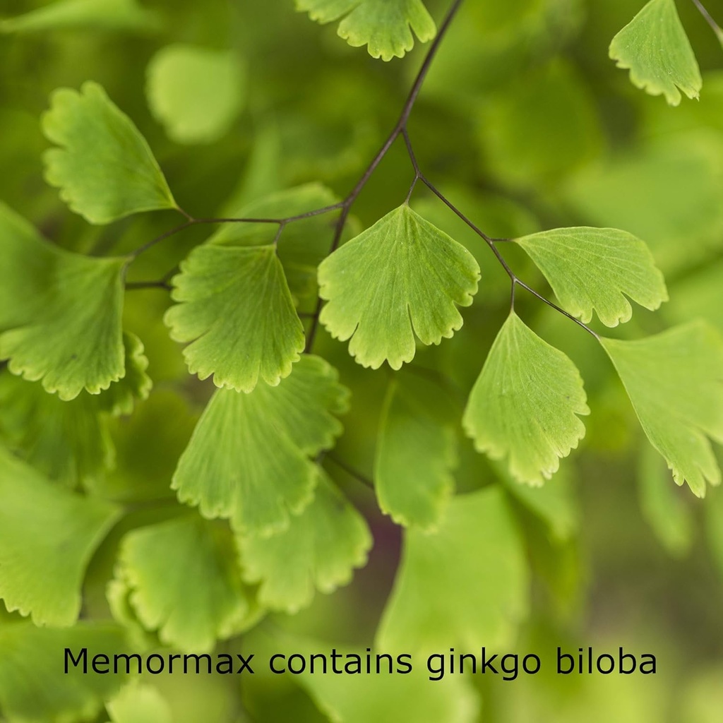 memormax-brain-supplement-for-memory-foc-3.jpg