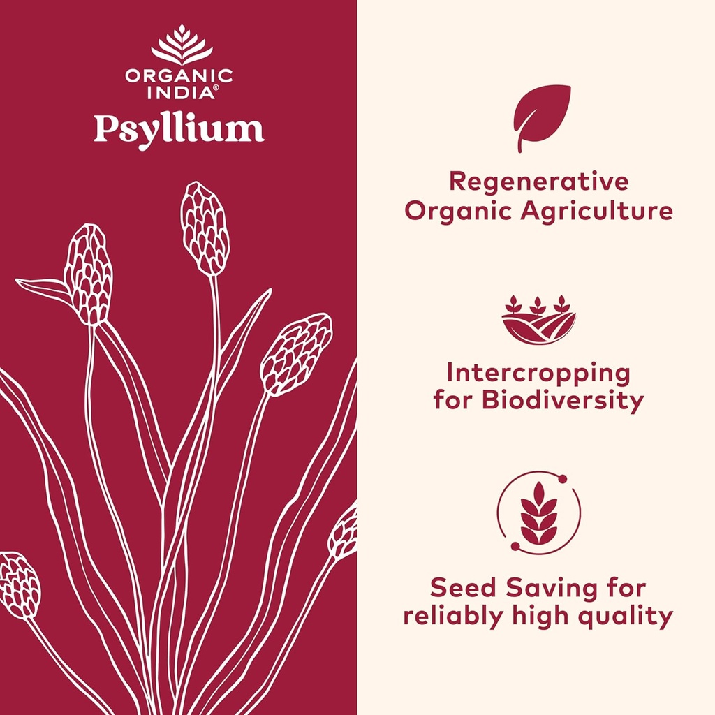 organic-india-whole-psyllium-husk-powder-2.jpg