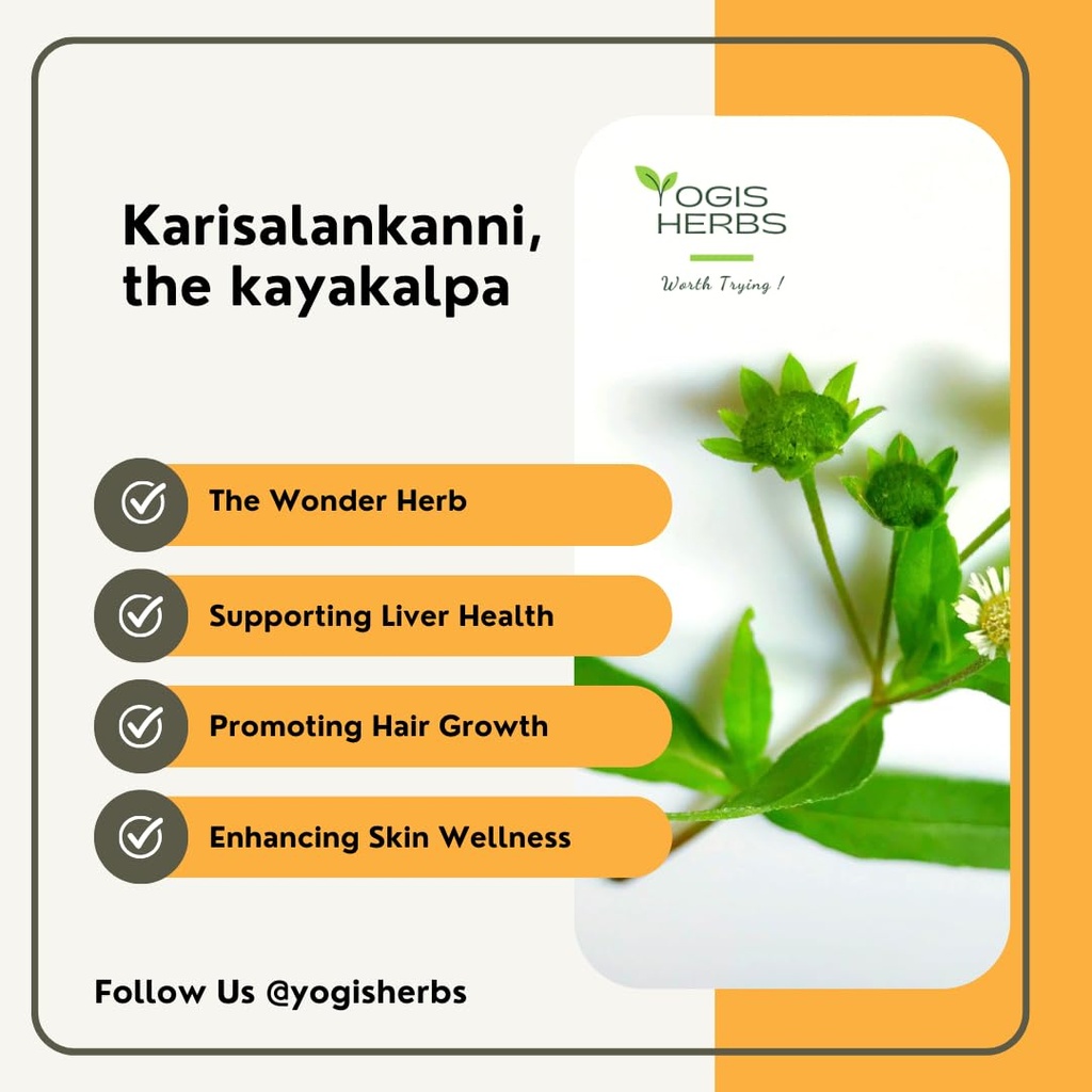 yogis-herbs-karisalankanni-powder-eclipt-3.jpg