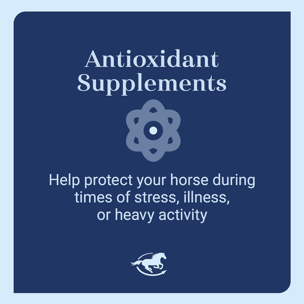 e5000-powder-vitamin-e-for-horses-antiox-4.jpg
