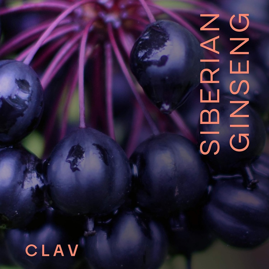 clav-siberian-ginseng---900mg-eleuthero--2.jpg