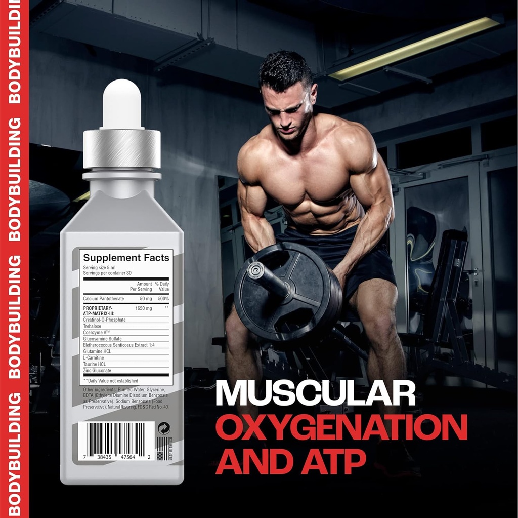 xxtraa-stable-creatine-serum-for-bodybui-5.jpg