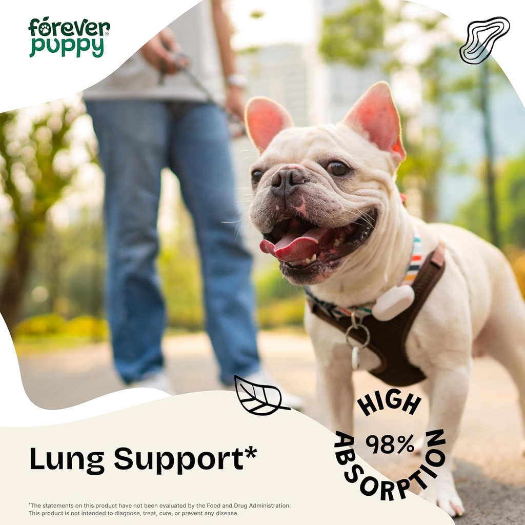 lung-support-drops-for-dogs---respirator-2.jpg