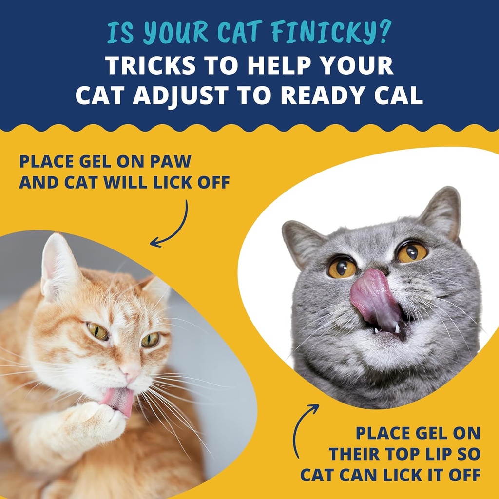 under-the-weather-pet-ready-cal-for-cats-4.jpg