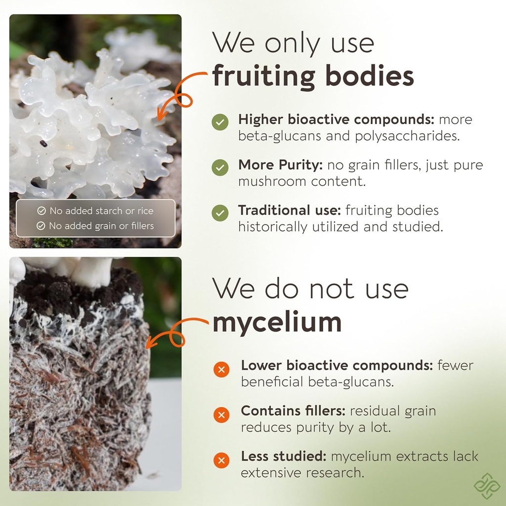 longevity-botanicals-tremella-mushroom-e-4.jpg