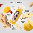 +GNGR Energy Booster & Immunity Shot, Cold-Pressed Ginger Shots with Lions Mane, 75mg of Natural Caffeine Green Tea, Turmeric Root, Vitamin D & Zinc for All Natural Immune Support (2 Oz, Pack of 12) 3