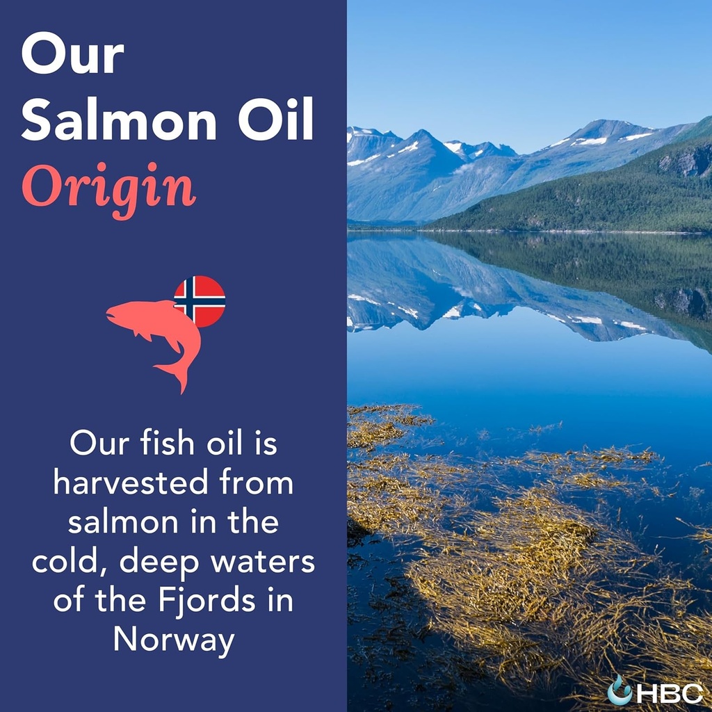 high-strength-omega-3-fish-oil---1000mg--4.jpg