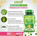 Mullein Leaf Capsules - 90 Capsules - Herbal Supplement Supports Healthy Respiratory Function & Mucous Membranes - 1000 mg - Natural Mullein for Lung Cleanse Support 5