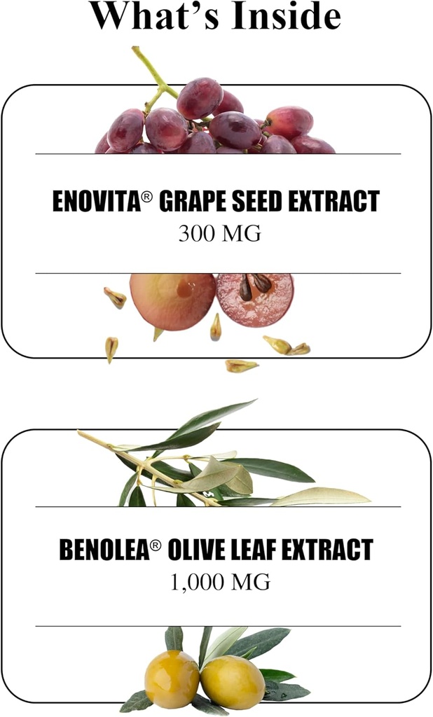 durable-blood-pressure-benolea-olive-lea-4.jpg
