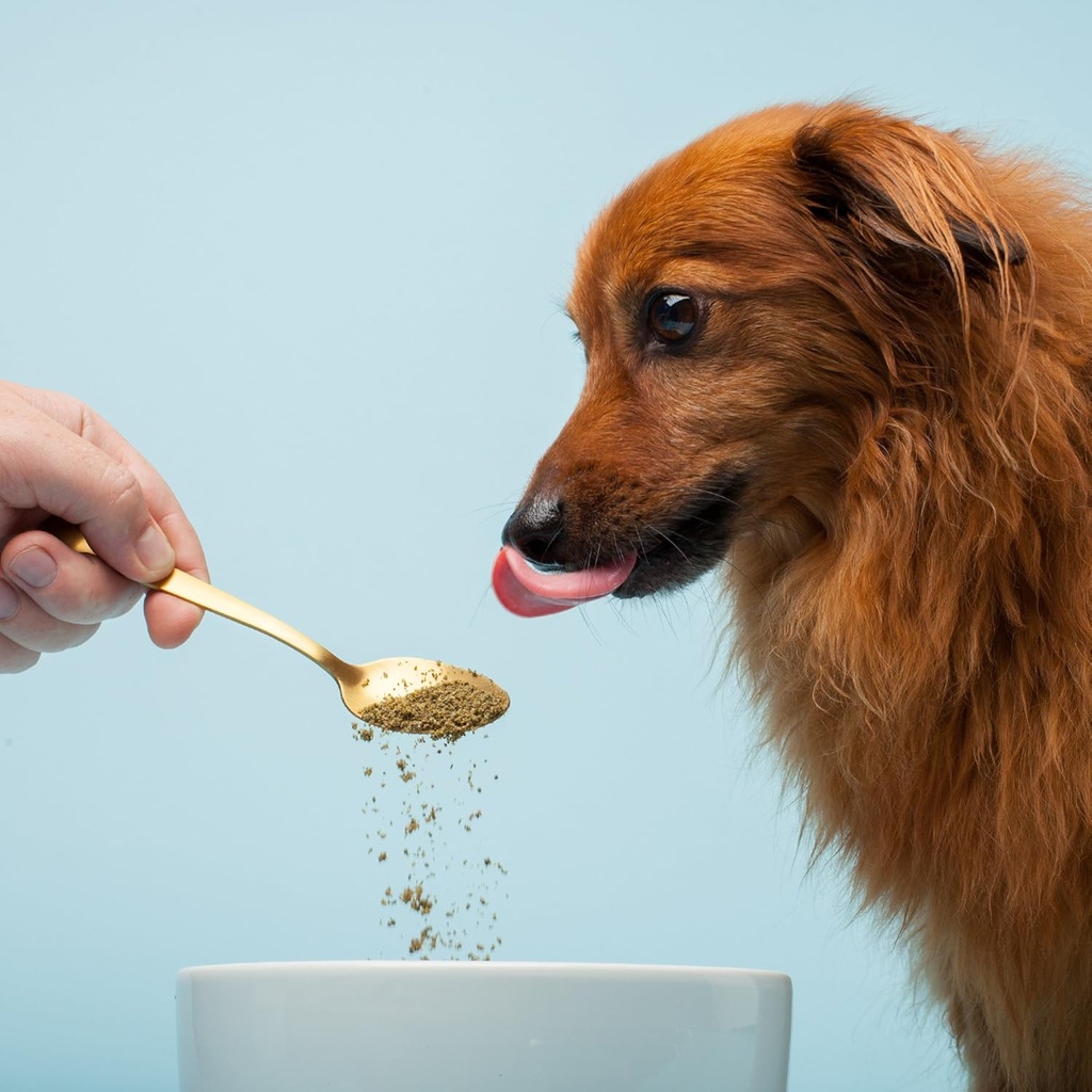 the-missing-link-pet-kelp-canine-skin-co-2.jpg