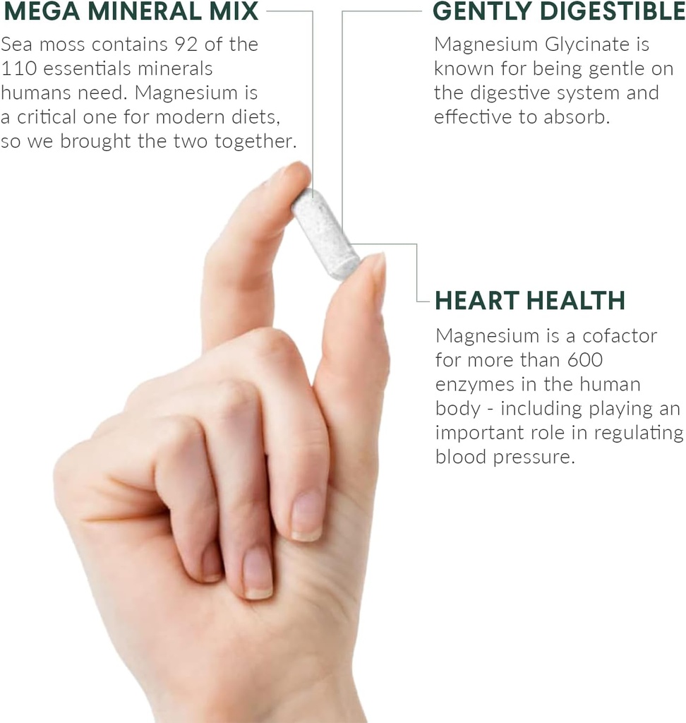 magnesium-irish-sea-moss---350mg-magnesi-3.jpg