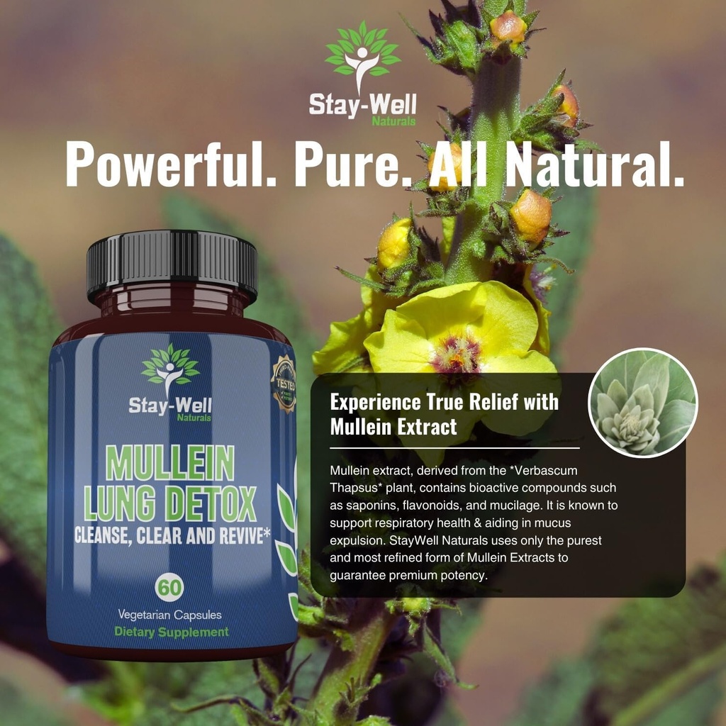 mullein-lung-detox-for-smokers-to-suppor-5.jpg