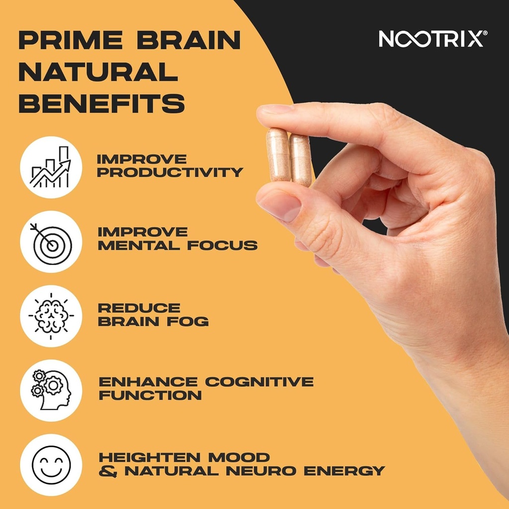 prime-brain-nootropic-supplement-support-4.jpg