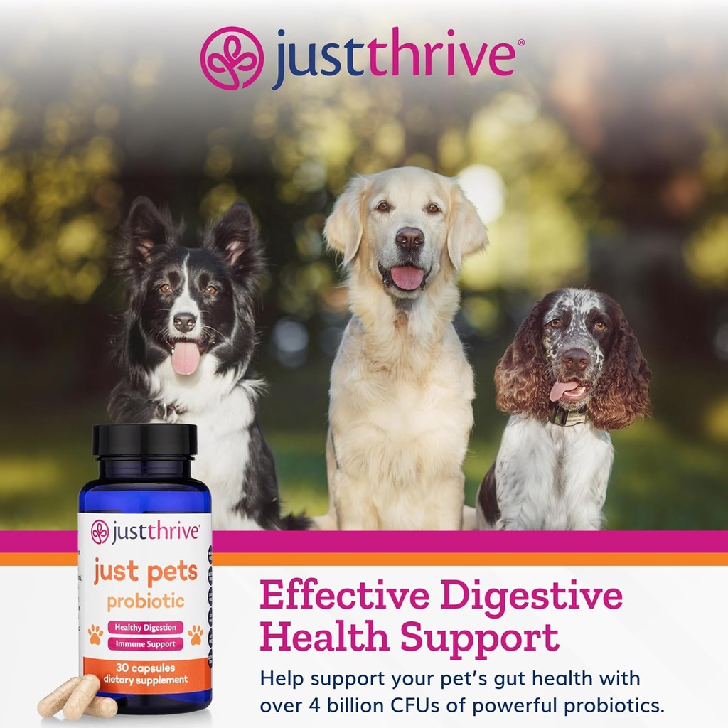 just-thrive-just-pets-probiotic---daily--3.jpg