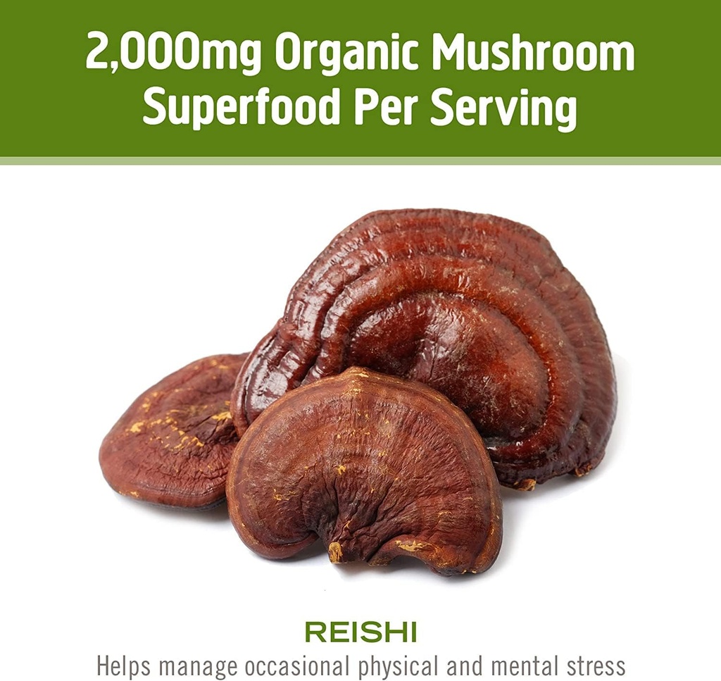 om-mushroom-superfood-reishi-mushroom-ca-6.jpg