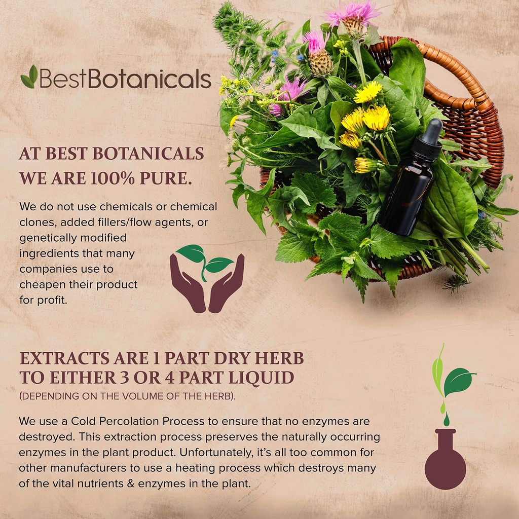 best-botanicals-poke-root-cut-16-oz-3.jpg