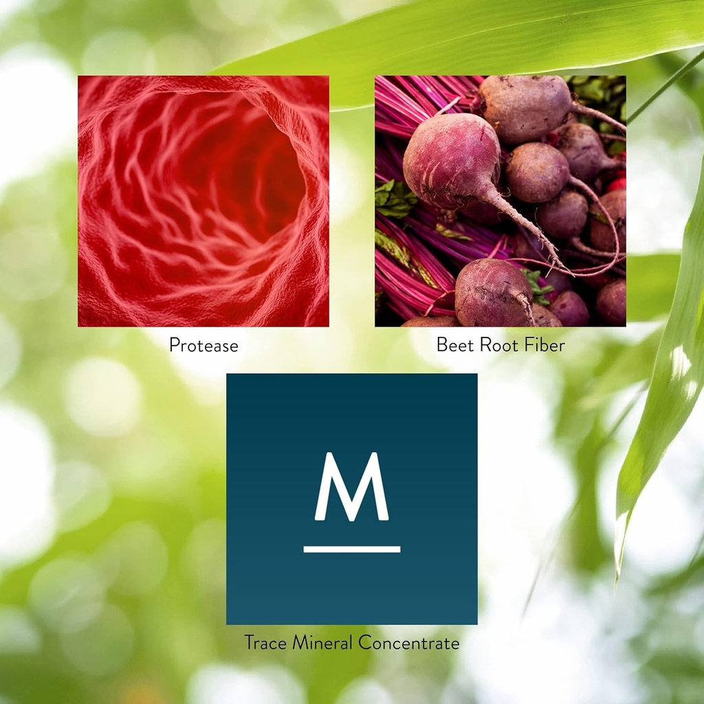 natures-sunshine-high-potency-protease-6-5.jpg