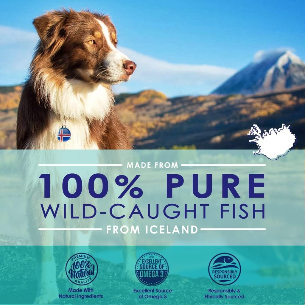 liquid-fish-oil-for-dogs-with-omega-3-6--2.jpg