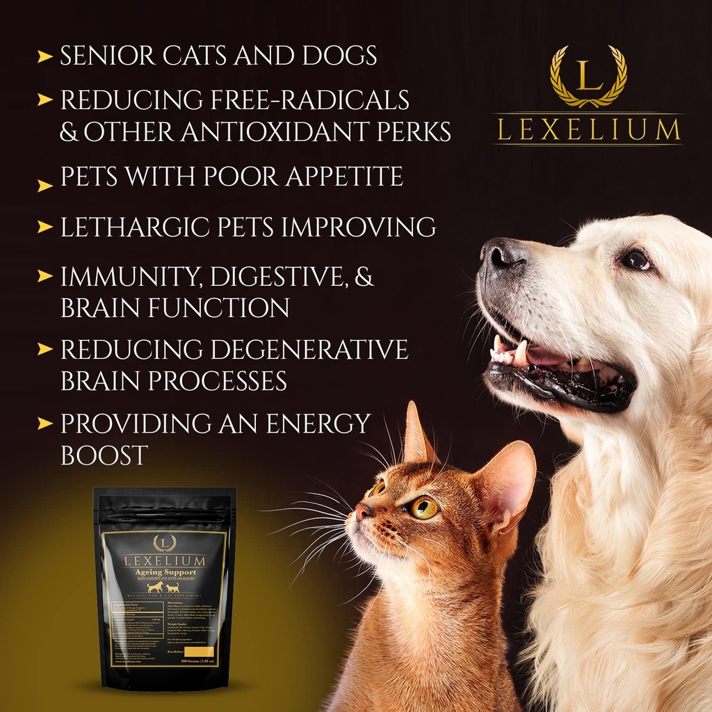 antioxidant-for-senior-dogs-and-cats-pro-4.jpg