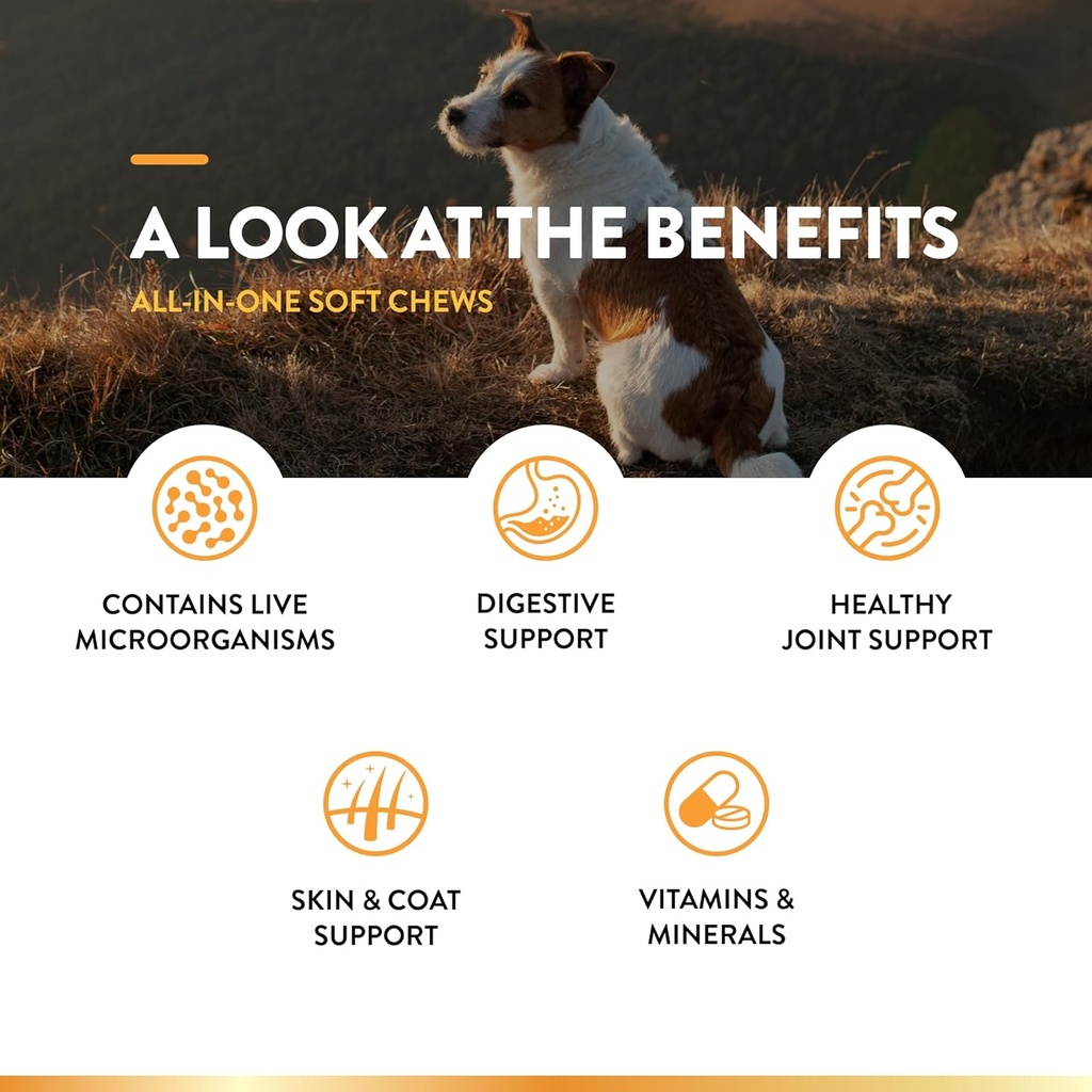 naturvet-all-in-one-dog-supplement---for-5.jpg