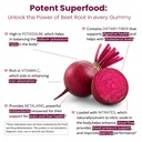 wellpath-beet-root-gummies-sugar-free-15-6.jpg