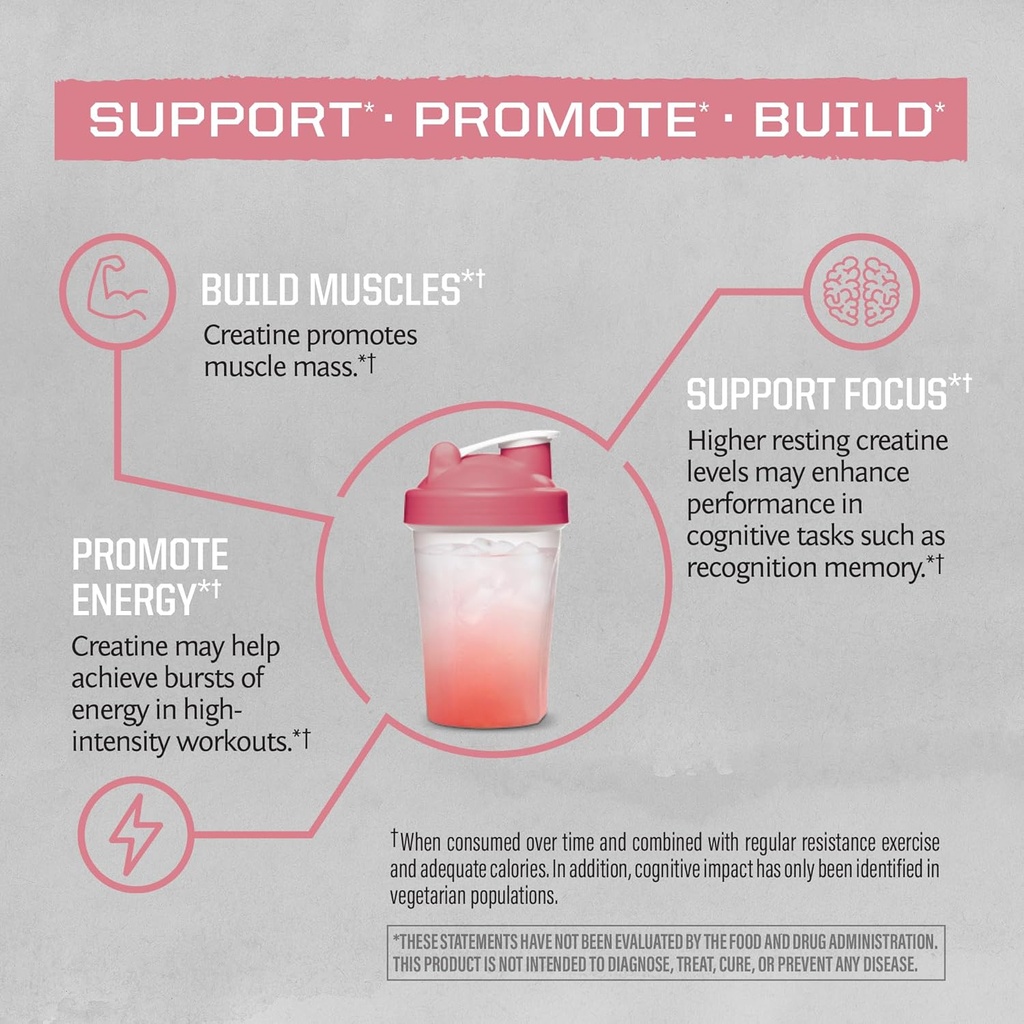 creatine-monohydrate-powder-micronized-p-4.jpg