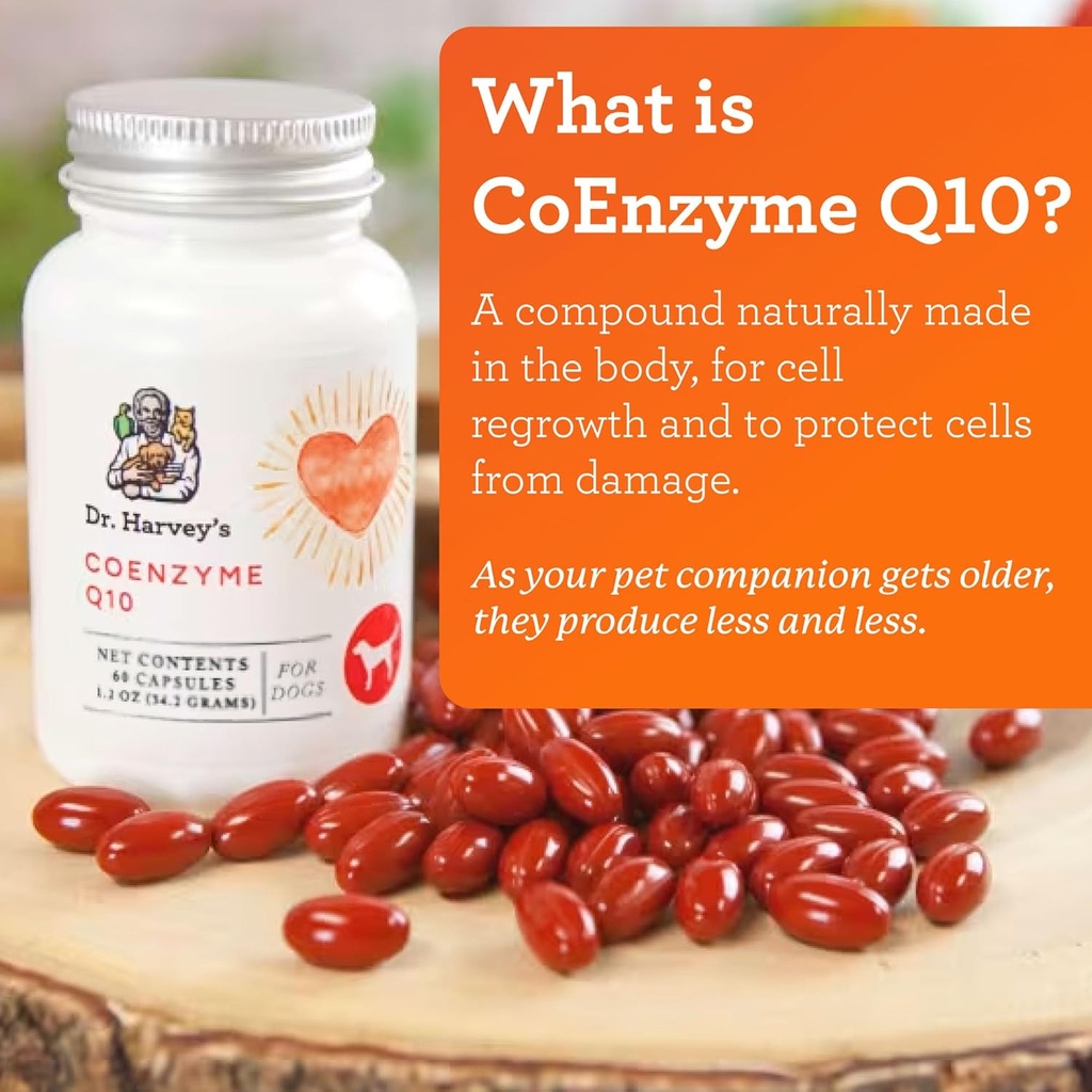 dr-harveys-coenzyme-q10---heart-cardiova-2.jpg