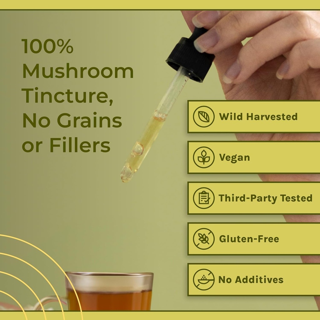 naturealm-chaga-mushroom-liquid-tincture-6.jpg