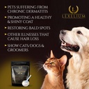 dermatitis-skin-and-coat-supplement-for--4.jpg