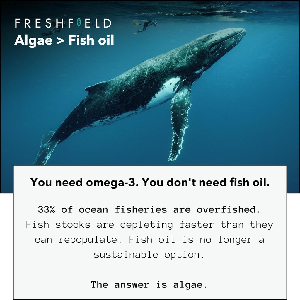 ocean-saving-omega-algae-omega-3-dha-sup-3.jpg