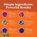 bundle-of-potent-daily-multivitamin-gumm-6.jpg